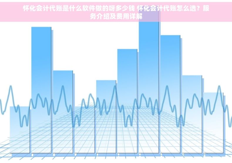 怀化会计代账是什么软件做的呀多少钱 怀化会计代账怎么选？服务介绍及费用详解