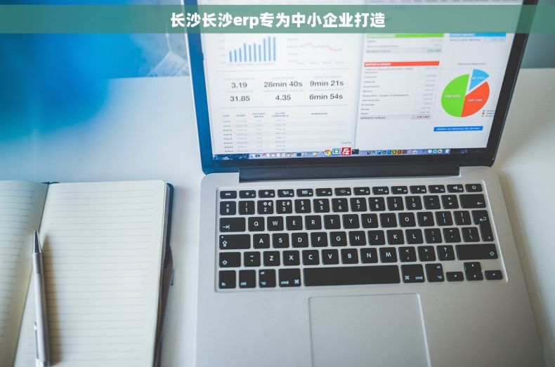 长沙长沙erp专为中小企业打造