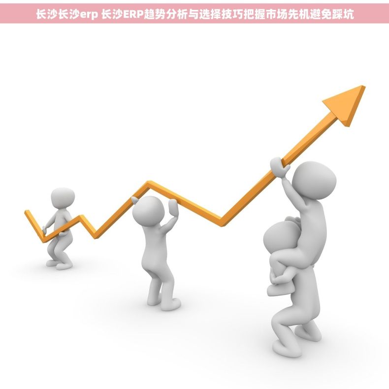 长沙长沙erp 长沙ERP趋势分析与选择技巧把握市场先机避免踩坑