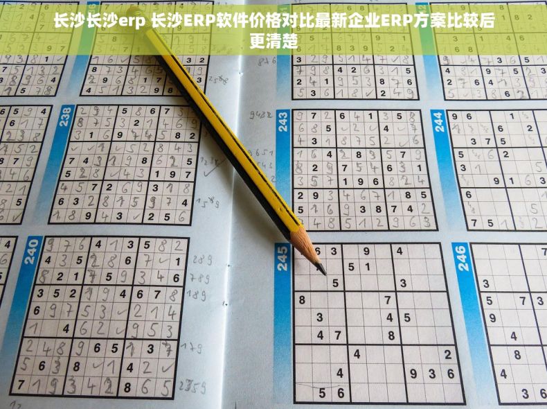 长沙长沙erp 长沙ERP软件价格对比最新企业ERP方案比较后更清楚