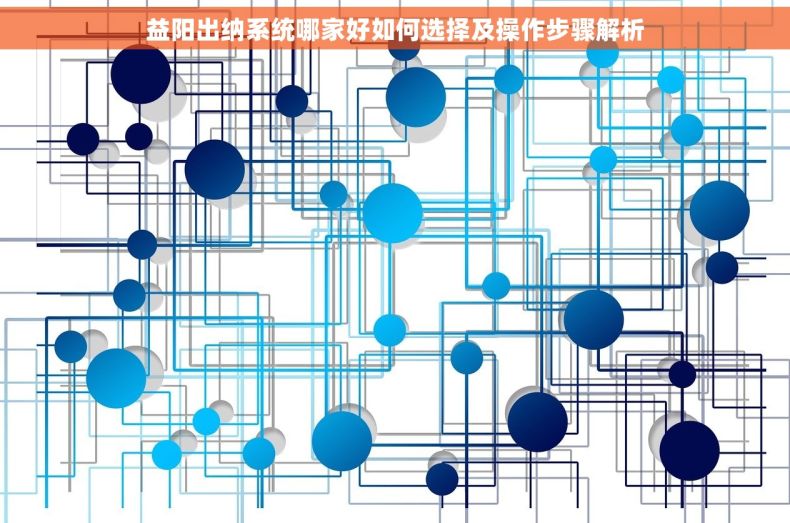 益阳出纳系统哪家好如何选择及操作步骤解析