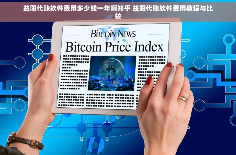 益阳代账软件费用多少钱一年啊知乎 益阳代账软件费用教程与比较