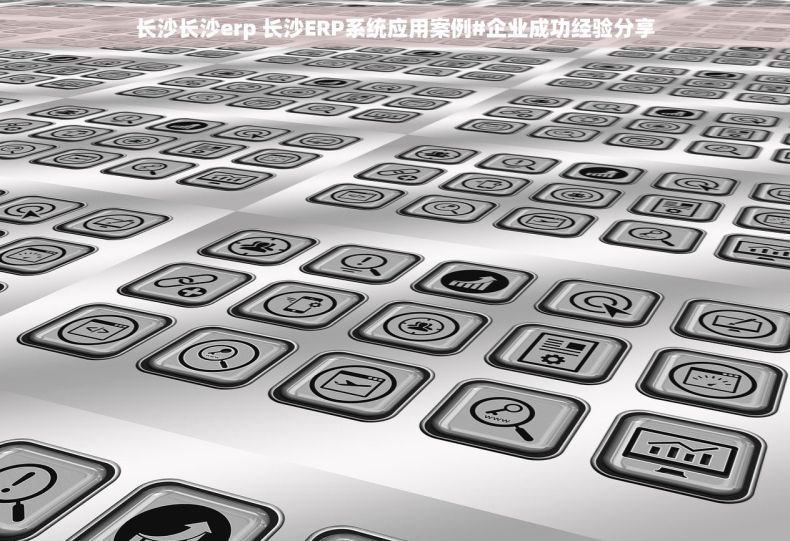长沙长沙erp 长沙ERP系统应用案例#企业成功经验分享