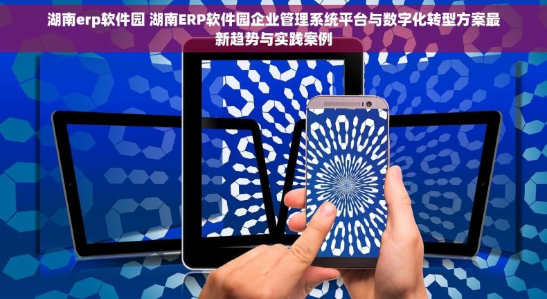湖南erp软件园 湖南ERP软件园企业管理系统平台与数字化转型方案最新趋势与实践案例
