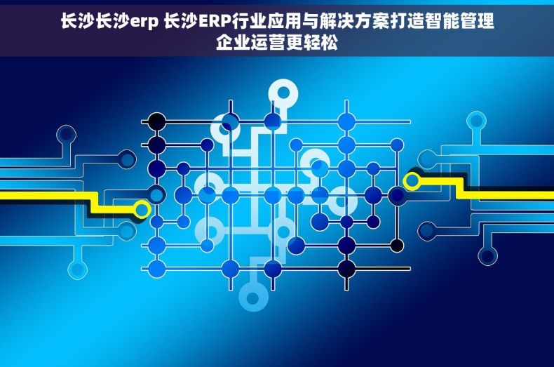 长沙长沙erp 长沙ERP行业应用与解决方案打造智能管理企业运营更轻松