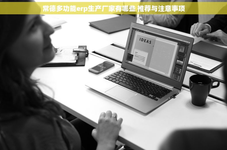 常德多功能erp生产厂家有哪些 推荐与注意事项