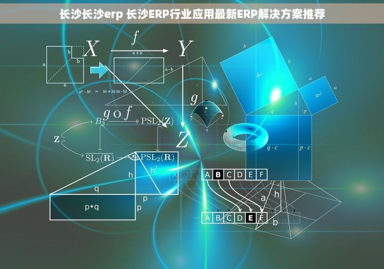 长沙长沙erp 长沙ERP行业应用最新ERP解决方案推荐