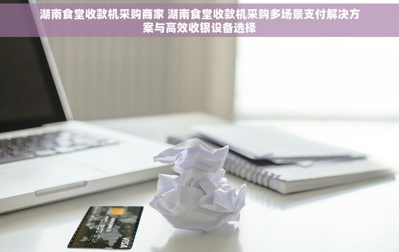湖南食堂收款机采购商家 湖南食堂收款机采购多场景支付解决方案与高效收银设备选择