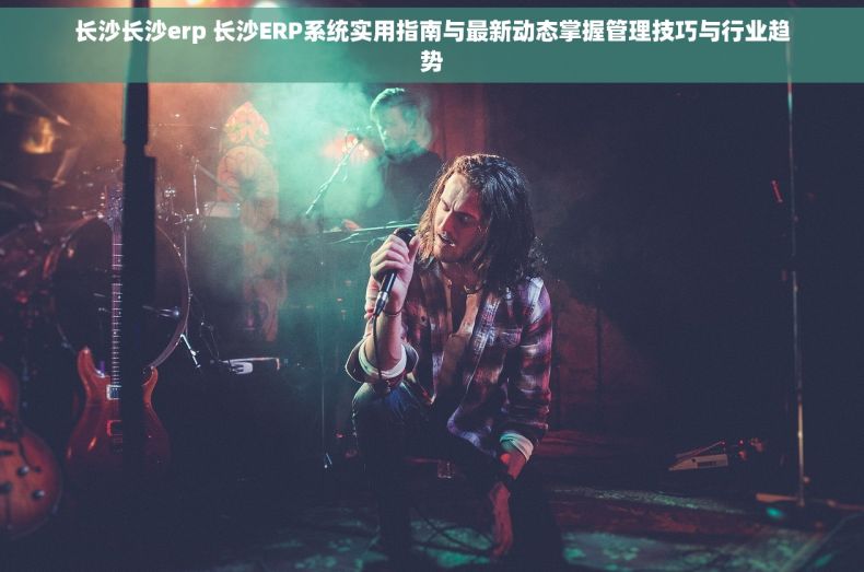 长沙长沙erp 长沙ERP系统实用指南与最新动态掌握管理技巧与行业趋势