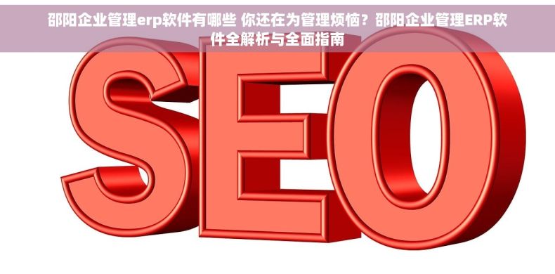 邵阳企业管理erp软件有哪些 你还在为管理烦恼？邵阳企业管理ERP软件全解析与全面指南