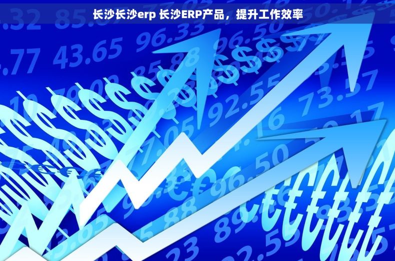 长沙长沙erp 长沙ERP产品，提升工作效率
