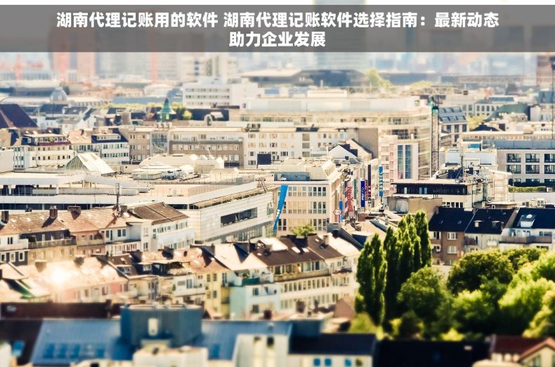 湖南代理记账用的软件 湖南代理记账软件选择指南：最新动态助力企业发展