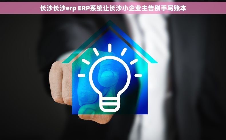 长沙长沙erp ERP系统让长沙小企业主告别手写账本