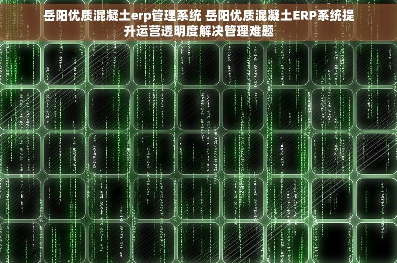 岳阳优质混凝土erp管理系统 岳阳优质混凝土ERP系统提升运营透明度解决管理难题
