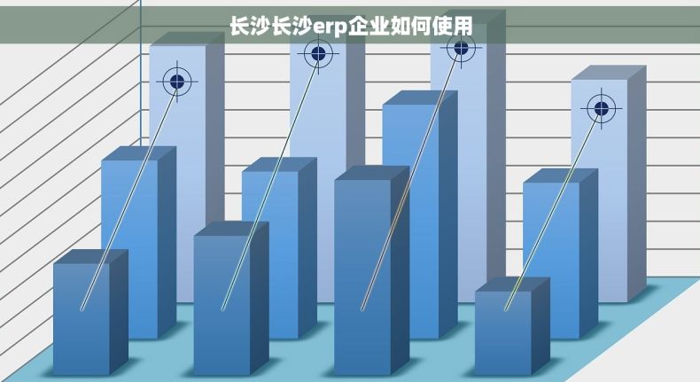 长沙长沙erp企业如何使用