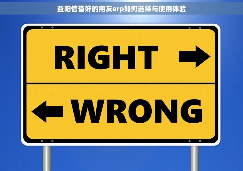 益阳信誉好的用友erp如何选择与使用体验