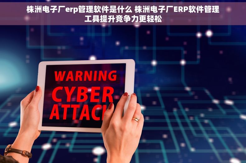 株洲电子厂erp管理软件是什么 株洲电子厂ERP软件管理工具提升竞争力更轻松