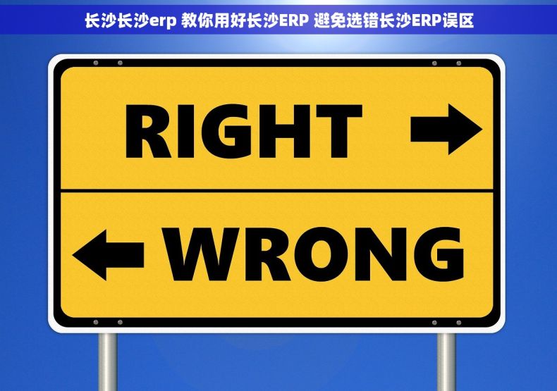 长沙长沙erp 教你用好长沙ERP 避免选错长沙ERP误区