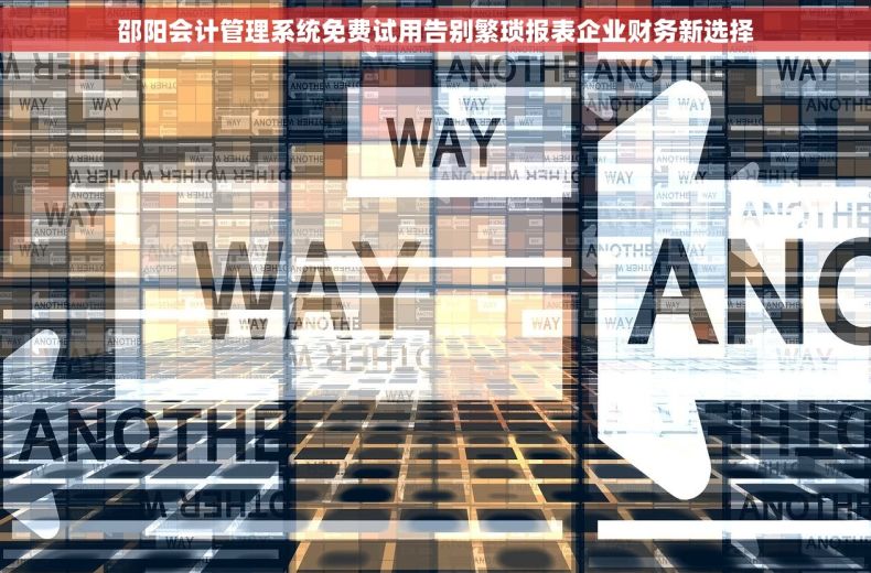 邵阳会计管理系统免费试用告别繁琐报表企业财务新选择