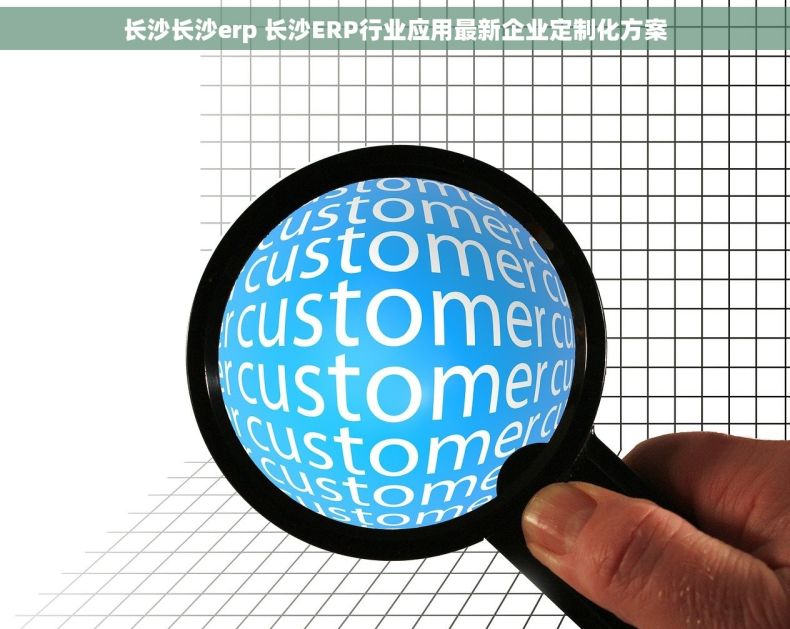 长沙长沙erp 长沙ERP行业应用最新企业定制化方案