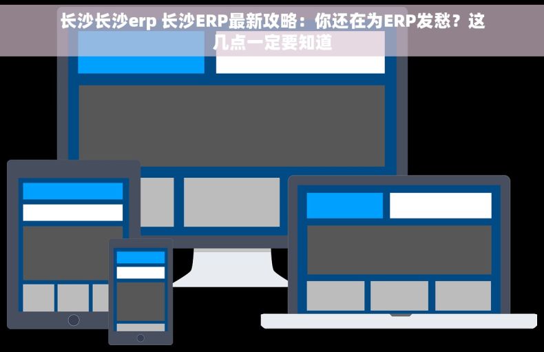 长沙长沙erp 长沙ERP最新攻略：你还在为ERP发愁？这几点一定要知道
