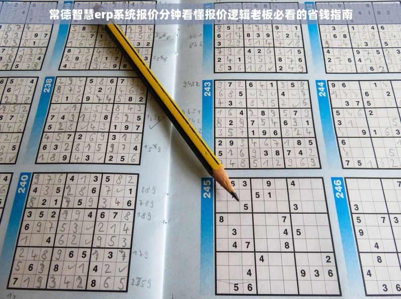 常德智慧erp系统报价分钟看懂报价逻辑老板必看的省钱指南