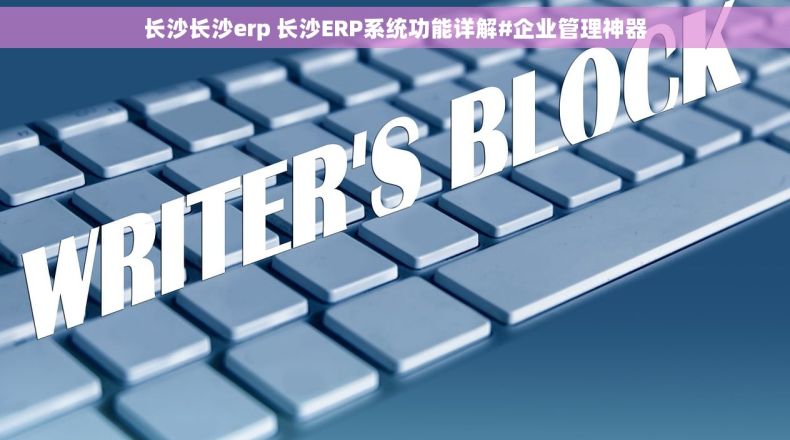 长沙长沙erp 长沙ERP系统功能详解#企业管理神器