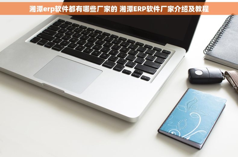 湘潭erp软件都有哪些厂家的 湘潭ERP软件厂家介绍及教程