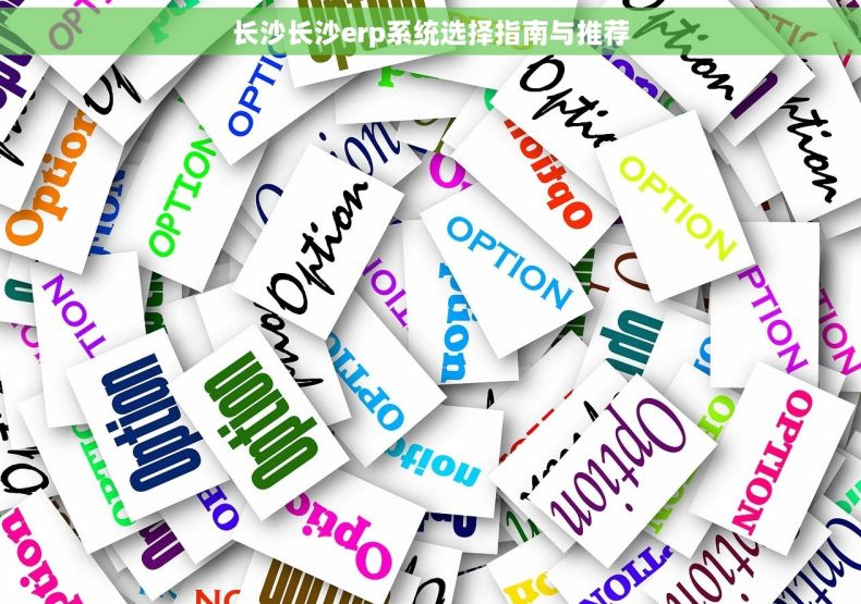长沙长沙erp系统选择指南与推荐