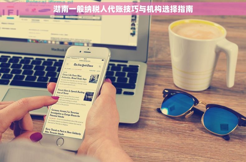 湖南一般纳税人代账技巧与机构选择指南