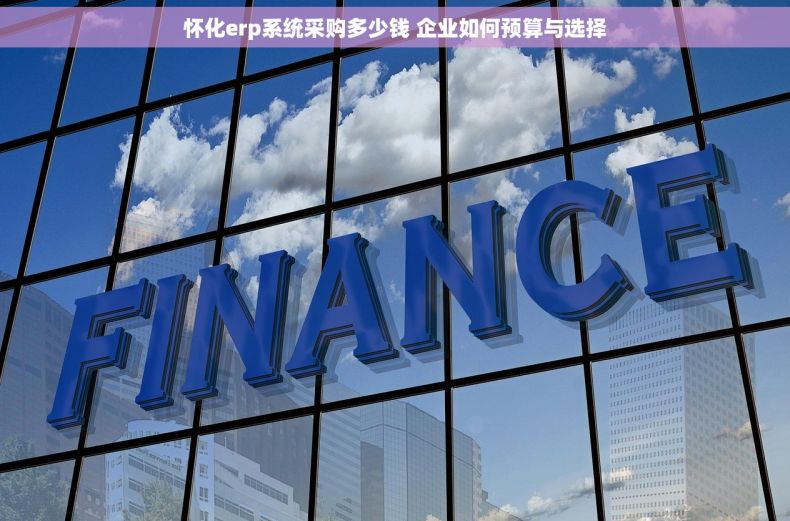 怀化erp系统采购多少钱 企业如何预算与选择