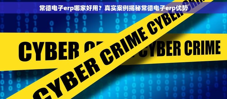 常德电子erp哪家好用？真实案例揭秘常德电子erp优势
