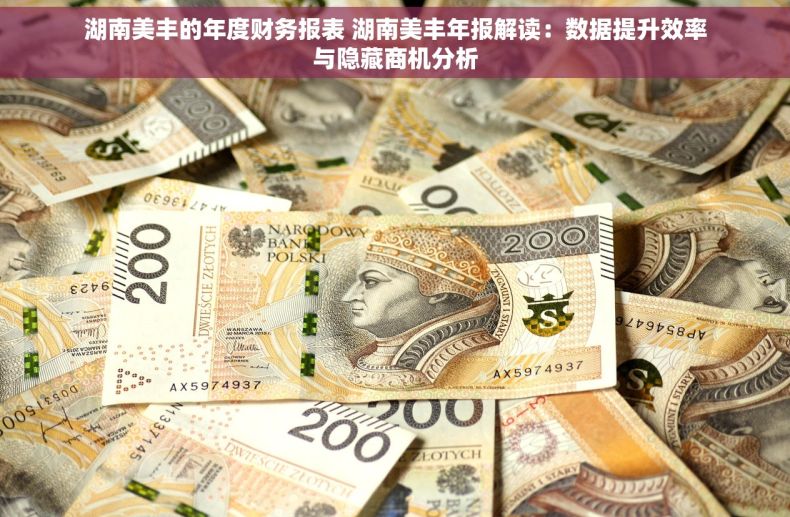 湖南美丰的年度财务报表 湖南美丰年报解读：数据提升效率与隐藏商机分析