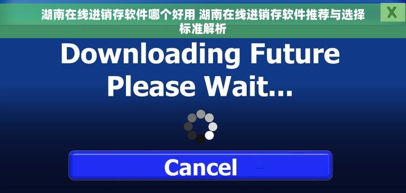 湖南在线进销存软件哪个好用 湖南在线进销存软件推荐与选择标准解析
