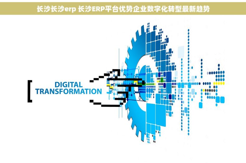 长沙长沙erp 长沙ERP平台优势企业数字化转型最新趋势