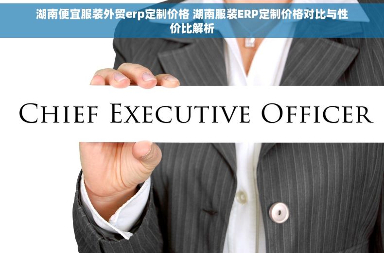 湖南便宜服装外贸erp定制价格 湖南服装ERP定制价格对比与性价比解析