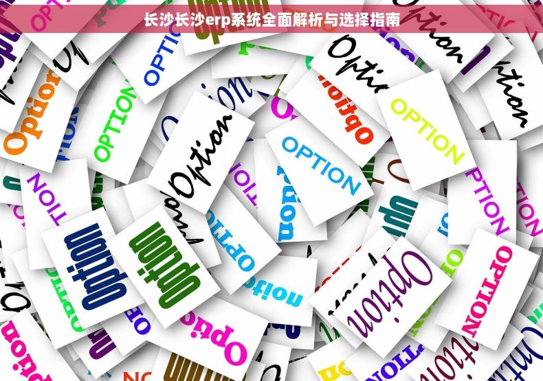 长沙长沙erp系统全面解析与选择指南
