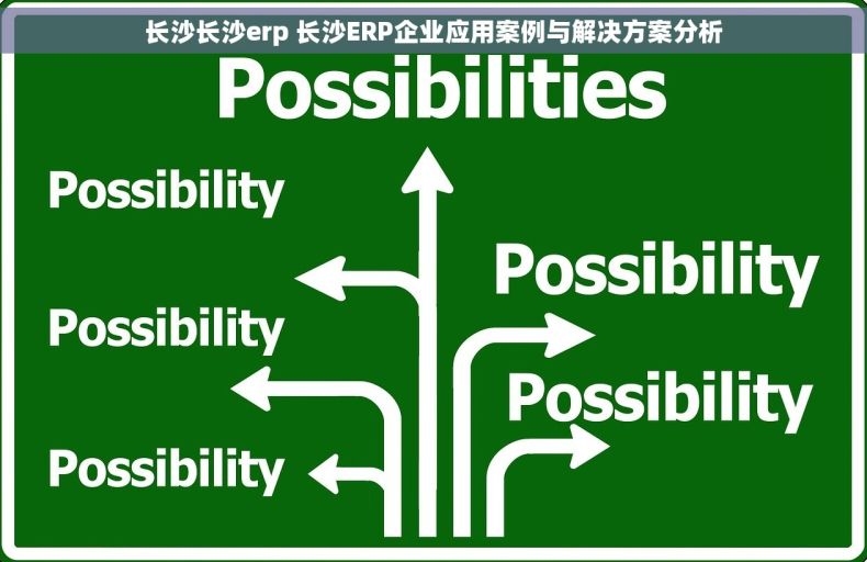 长沙长沙erp 长沙ERP企业应用案例与解决方案分析