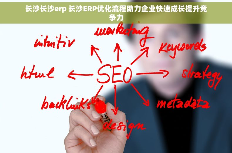 长沙长沙erp 长沙ERP优化流程助力企业快速成长提升竞争力