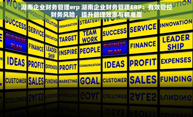 湖南企业财务管理erp 湖南企业财务管理ERP：有效管控财务风险，提升管理效率与精准度