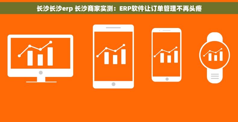 长沙长沙erp 长沙商家实测：ERP软件让订单管理不再头疼