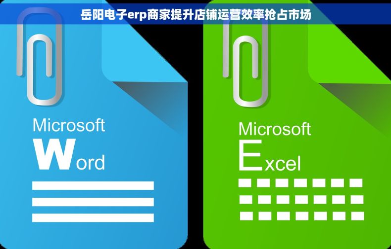 岳阳电子erp商家提升店铺运营效率抢占市场