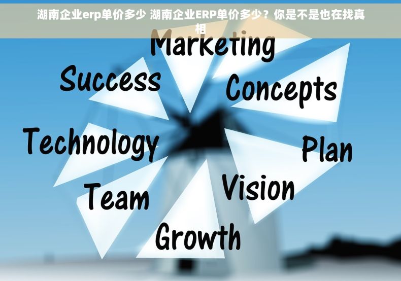 湖南企业erp单价多少 湖南企业ERP单价多少？你是不是也在找真相