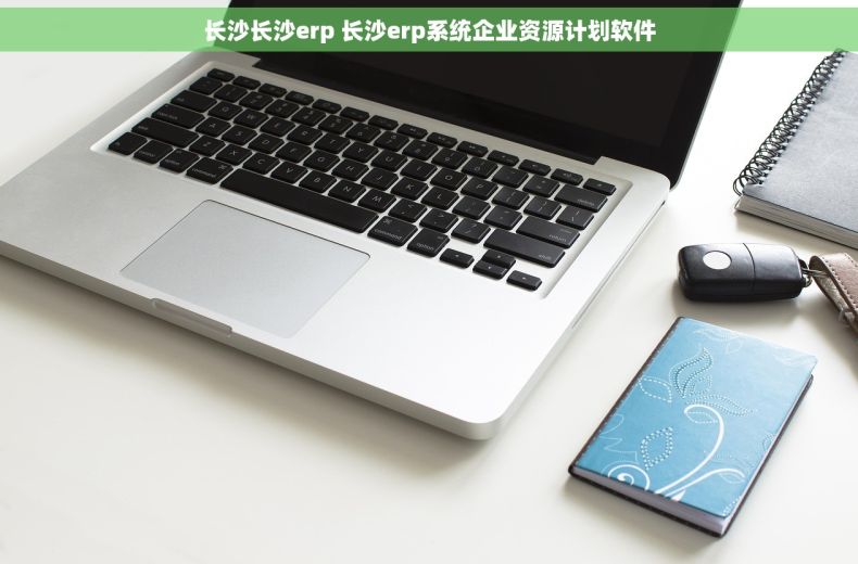 长沙长沙erp 长沙erp系统企业资源计划软件