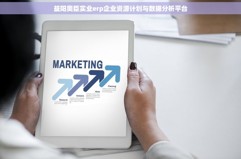 益阳奥臣实业erp企业资源计划与数据分析平台