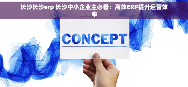 长沙长沙erp 长沙中小企业主必看：高效ERP提升运营效率