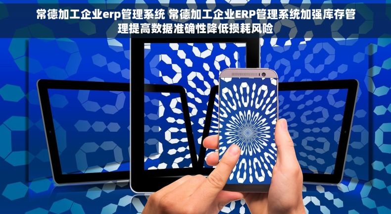 常德加工企业erp管理系统 常德加工企业ERP管理系统加强库存管理提高数据准确性降低损耗风险