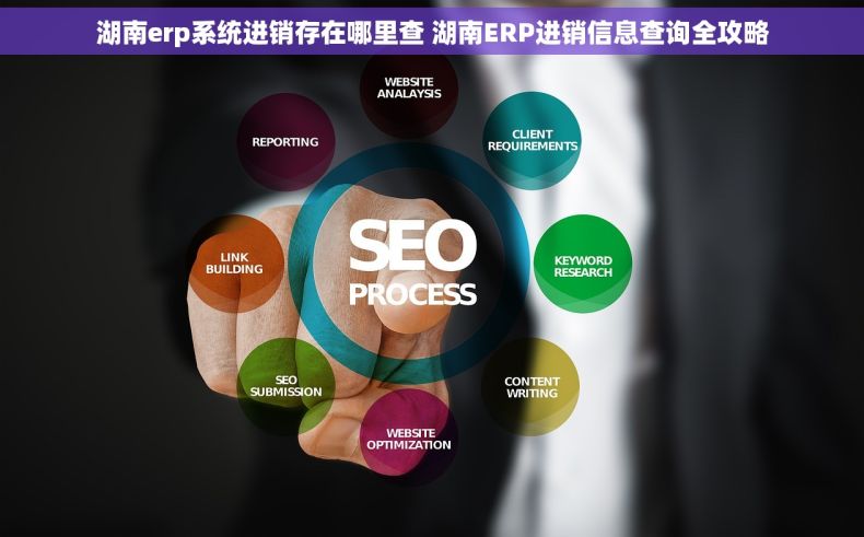 湖南erp系统进销存在哪里查 湖南ERP进销信息查询全攻略