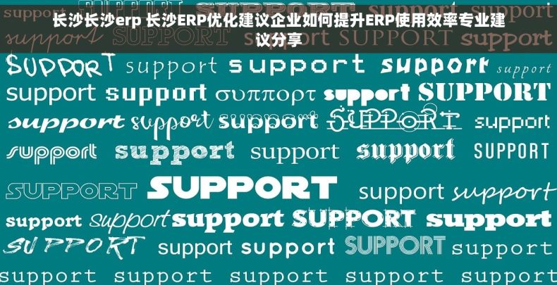 长沙长沙erp 长沙ERP优化建议企业如何提升ERP使用效率专业建议分享