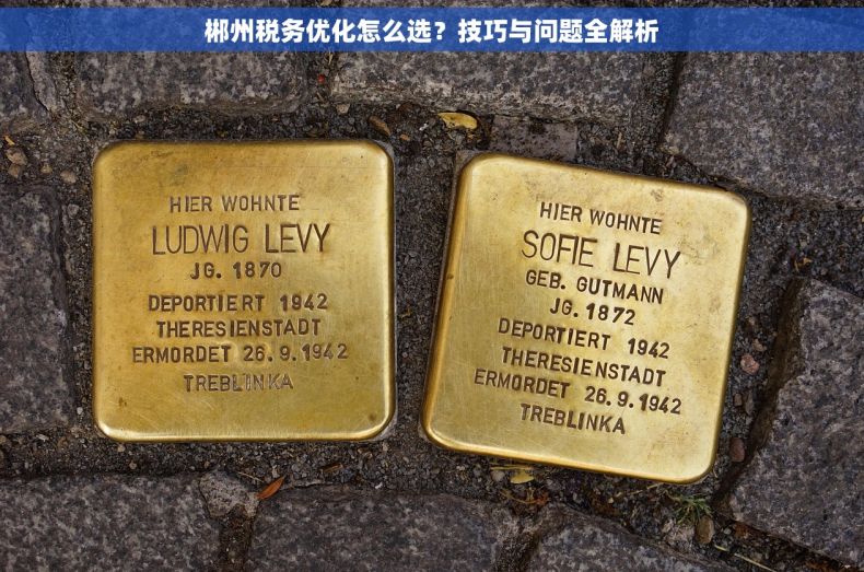郴州税务优化怎么选？技巧与问题全解析